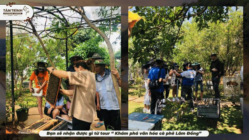 Đến với Nông Trại Ong - Dalat Bee Farm, du khách sẽ có cơ hội: