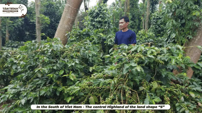 In the South of Viet Nam - The central Highland of the land shape “S”