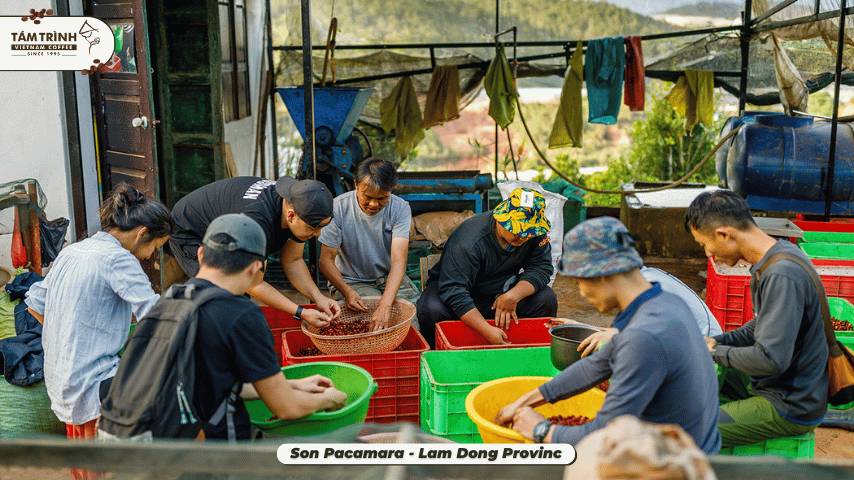 The most authentic moments of the coffee farm life