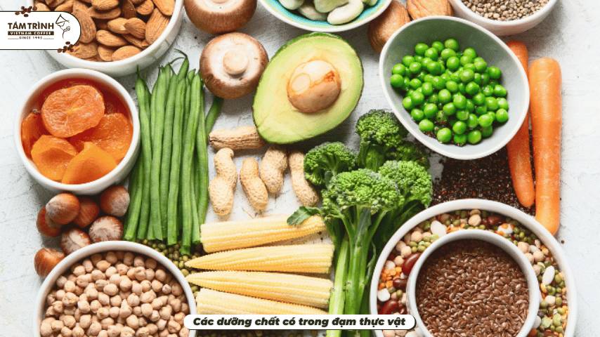 Các dưỡng chất có trong đạm thực vật