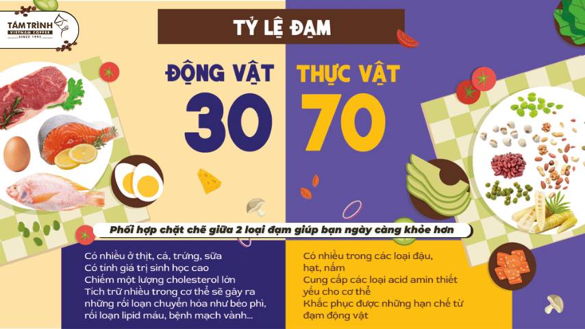 Phối hợp chặt chẽ giữa 2 loại đạm giúp bạn ngày càng khỏe hơn