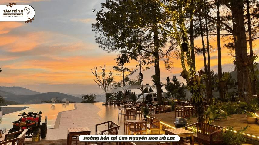 Hoàng hôn tại Cao Nguyên Hoa Đà Lạt
