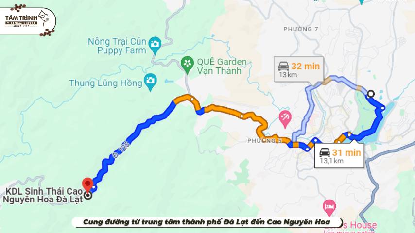 Cung đường từ trung tâm thành phố Đà Lạt đến Cao Nguyên Hoa&nbsp;
