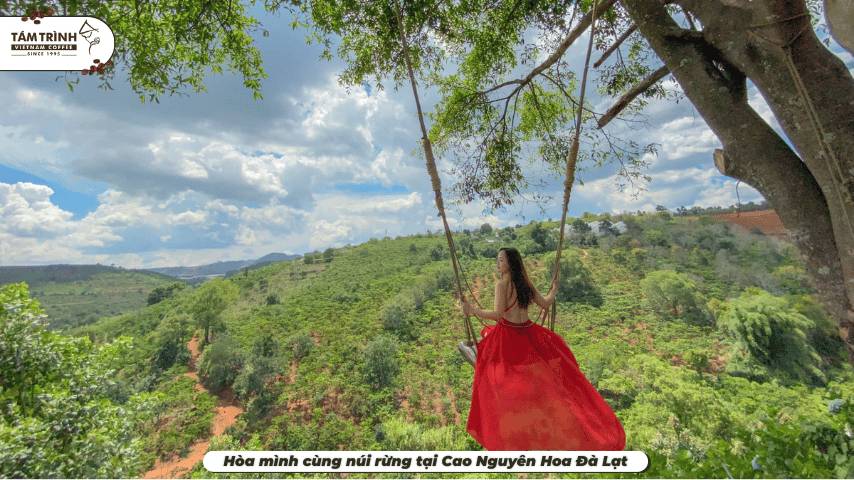 Hòa mình cùng núi rừng tại Cao Nguyên Hoa Đà Lạt
