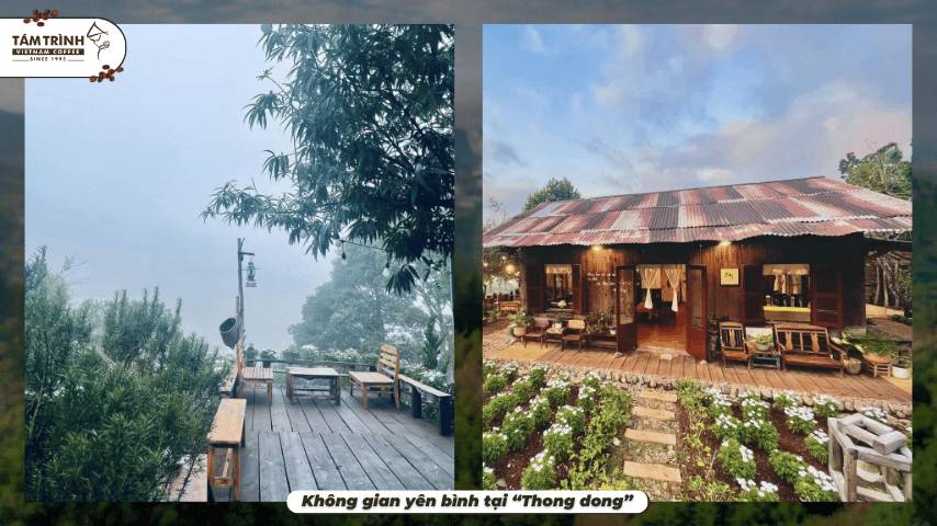 Không gian yên bình tại “Thong dong”