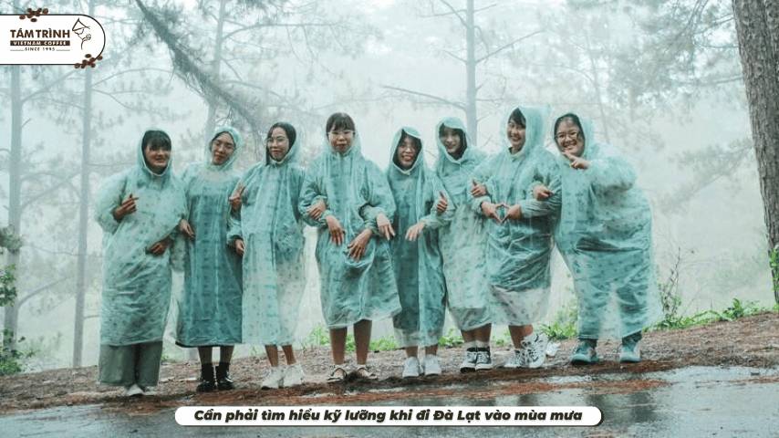 Cần phải tìm hiểu kỹ lưỡng khi đi Đà Lạt vào mùa mưa