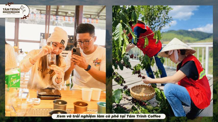 Xem và trải nghiệm làm cà phê tại Tám Trình Coffee
