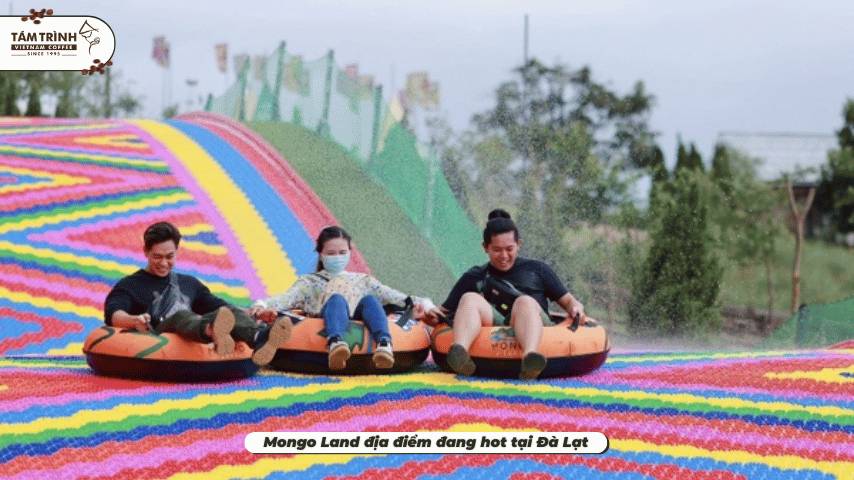 Mongo Land địa điểm đang hot tại Đà Lạt