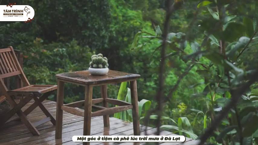 Một góc ở tiệm cà phê lúc trời mưa ở Đà Lạt
