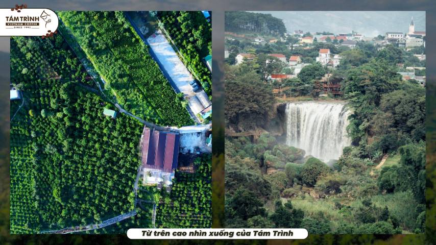 Từ trên cao nhìn xuống của Tám Trình