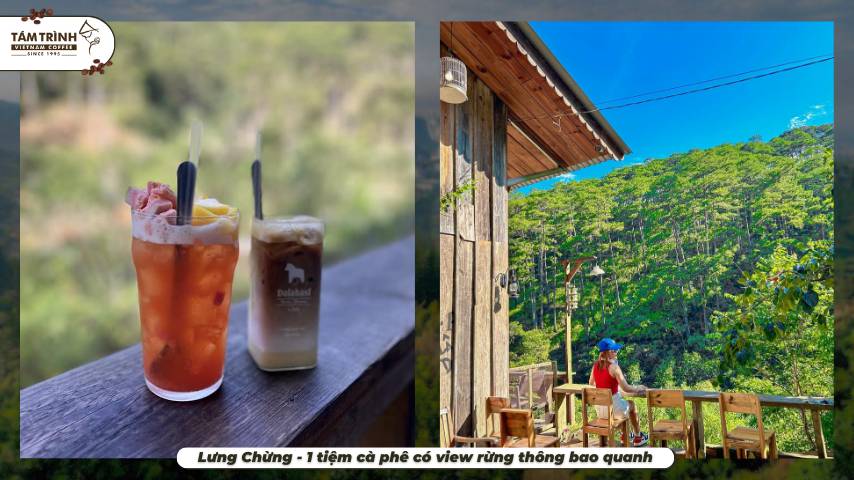 Lưng Chừng - 1 tiệm cà phê có view rừng thông bao quanh