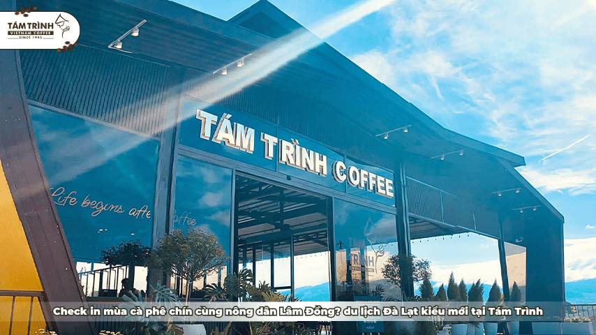 Check in mùa cà phê chín cùng nông dân Lâm Đồng? du lịch Đà Lạt kiểu mới tại Tám Trình