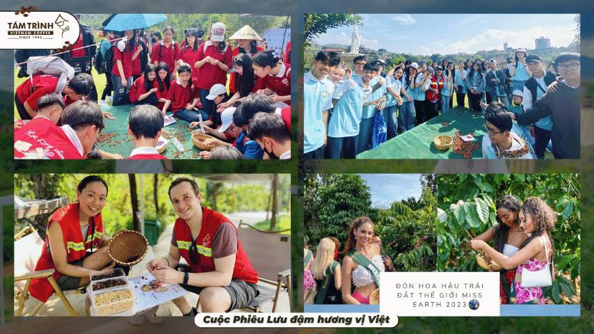 Cuộc Phiêu Lưu đậm hương vị Việt