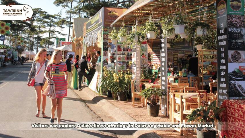 Visitors can explore Dalat's finest offerings in Dalat Vegetable and Flower Market