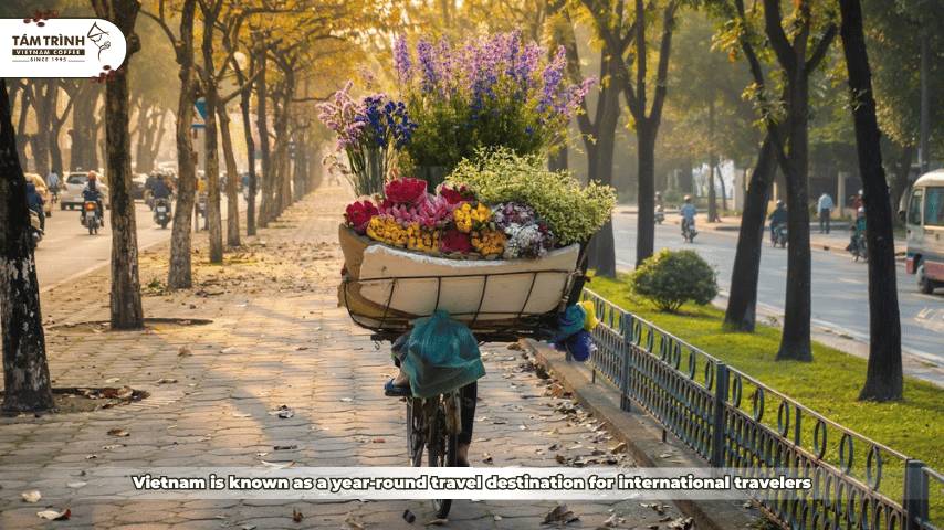 Vietnam is known as a year-round travel destination for international travelers
