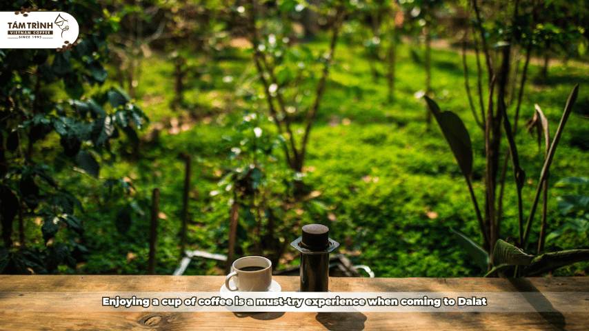Enjoying a cup of coffee is a must-try experience when coming to Dalat