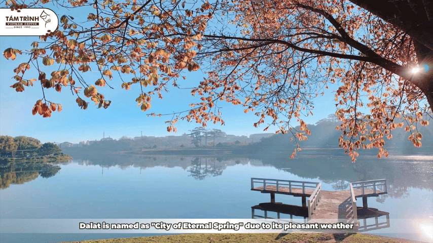 Dalat is named as "City of Eternal Spring" due to its pleasant weather