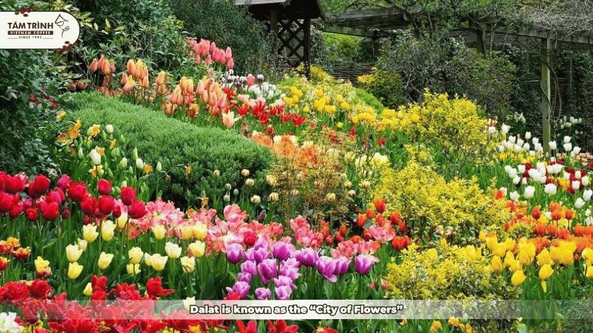 Dalat is known as the “City of Flowers”