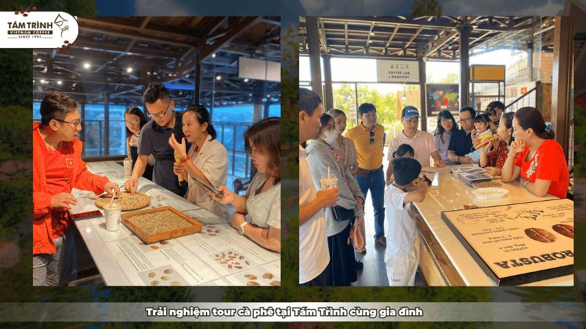 Trải nghiệm tour cà phê tại Tám Trình cùng gia đình&nbsp;