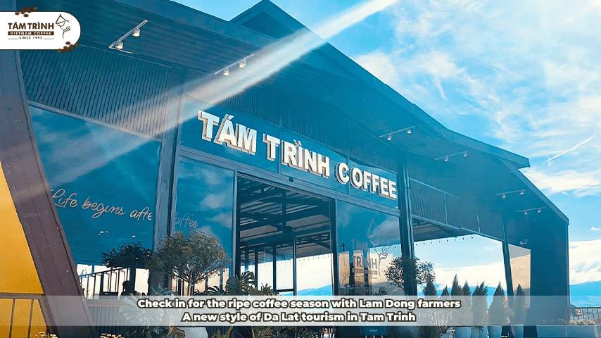 Check in for the ripe coffee season with Lam Dong farmers. A new style of Da Lat tourism in Tam Trinh