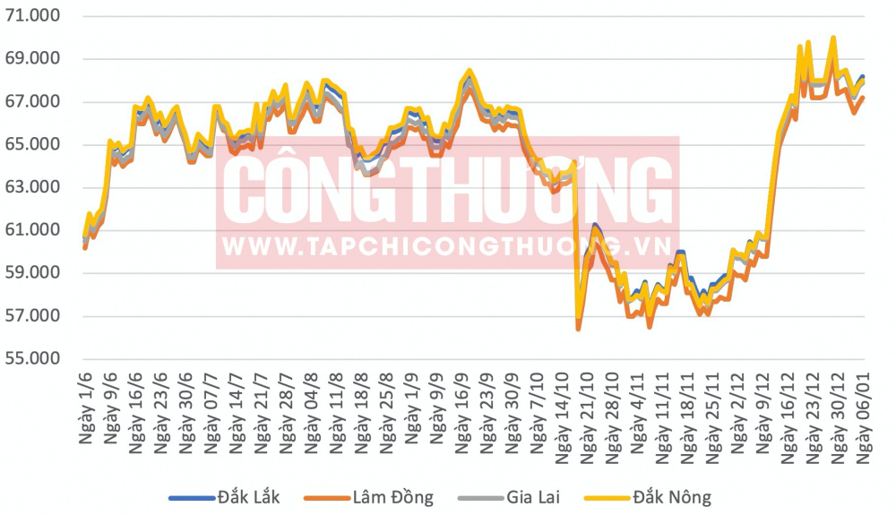 Gía cà phê biến động. Nguồn: Tạp chí công thương
