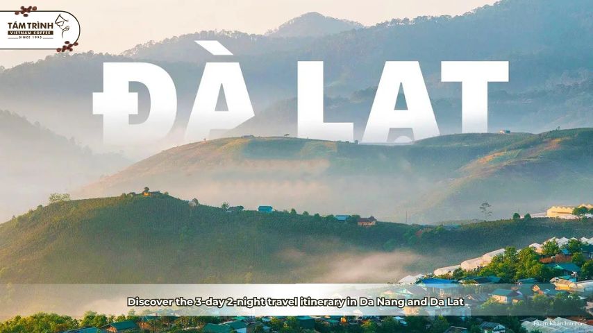Discover the 3-day 2-night travel itinerary in Da Nang and Da Lat