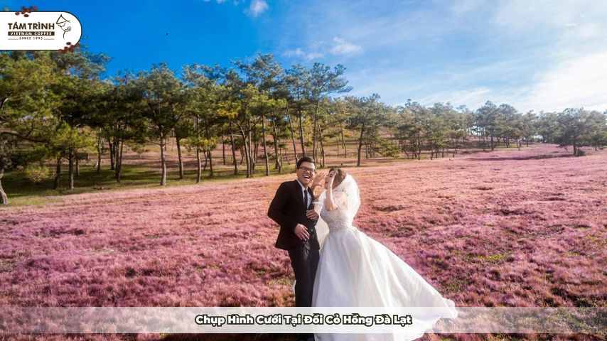 Địa điểm chụp hình cưới Đà Lạt cực thơ&nbsp;