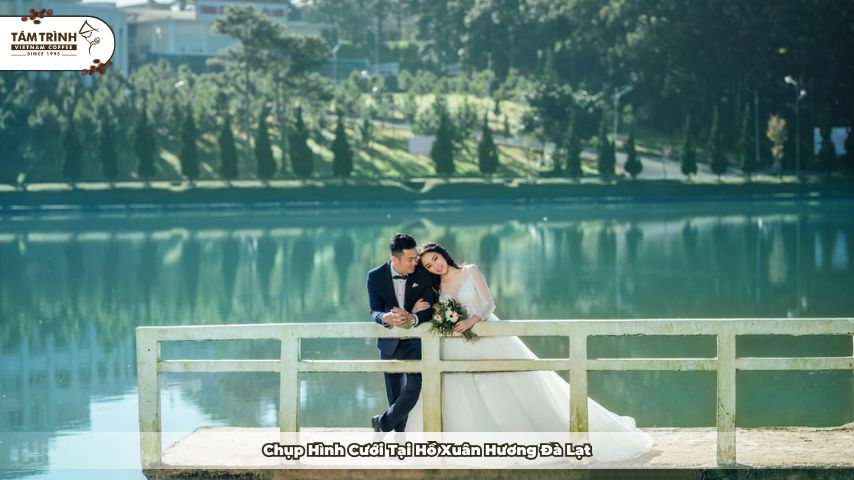 Hồ Xuân Hương Đà Lạt bình yên tuyệt đẹp giữa lòng thành phố