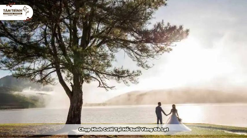 Hồ Suối Vàng Đà Lạt