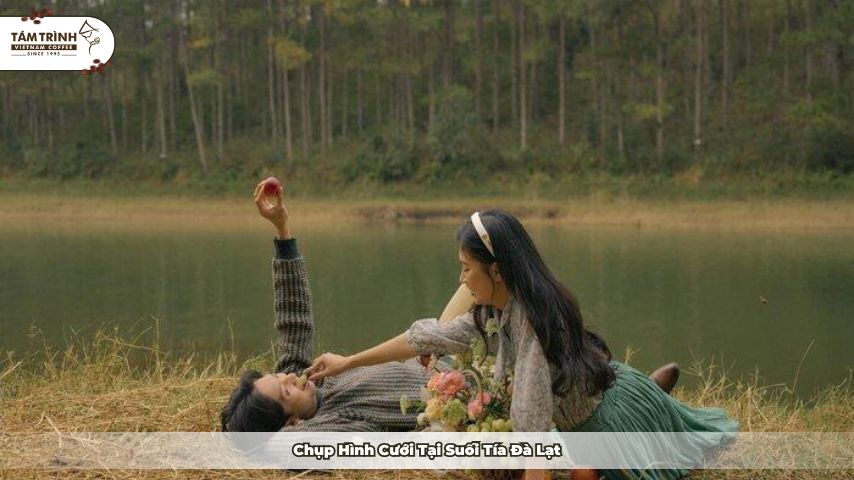 Suối Tía Đà Lạt bình yên, mát lành giữa lòng thiên nhiên hoang sơ