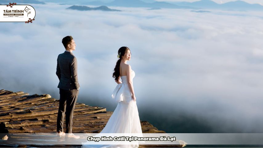 Ngắm nhìn biển mây bồng bềnh giữa trời tại Panorama