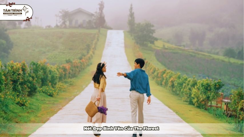 Nét đẹp bình yên của The Florest
