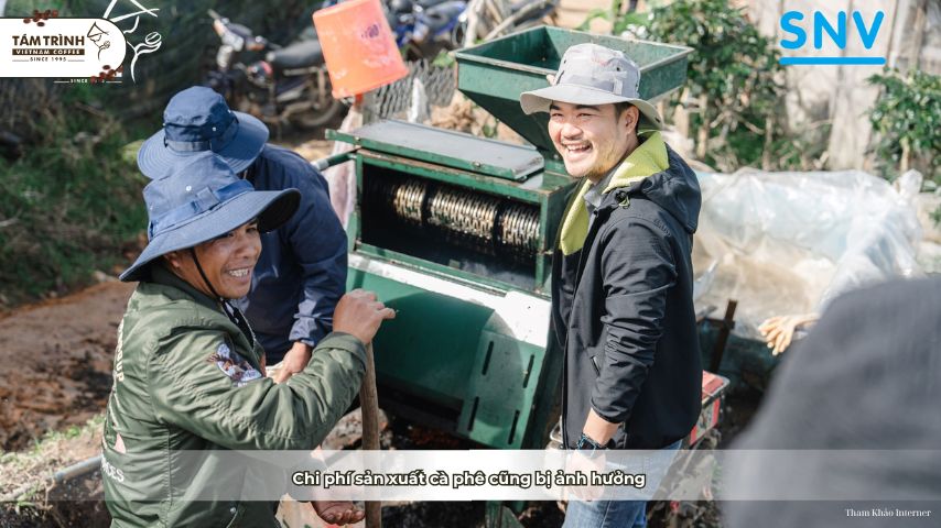 Chi phí sản xuất cà phê cũng bị ảnh hưởng