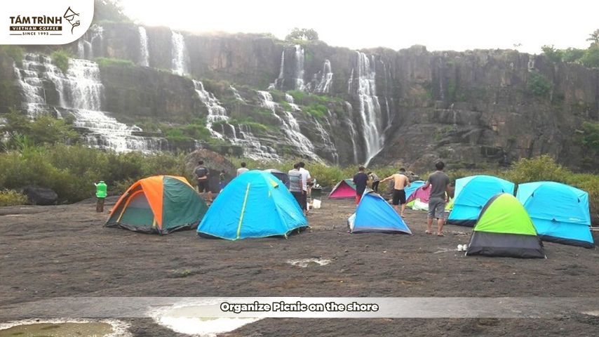 Organize Picnic on the shore