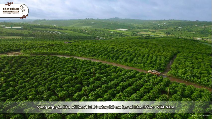 Vùng nguyên liệu với hơn 10.000 nông hộ tọa lạc tại Lâm Đồng - Việt Nam