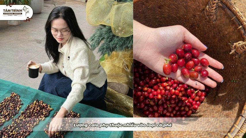 Lượng calo phụ thuộc nhiều vào loại cà phê