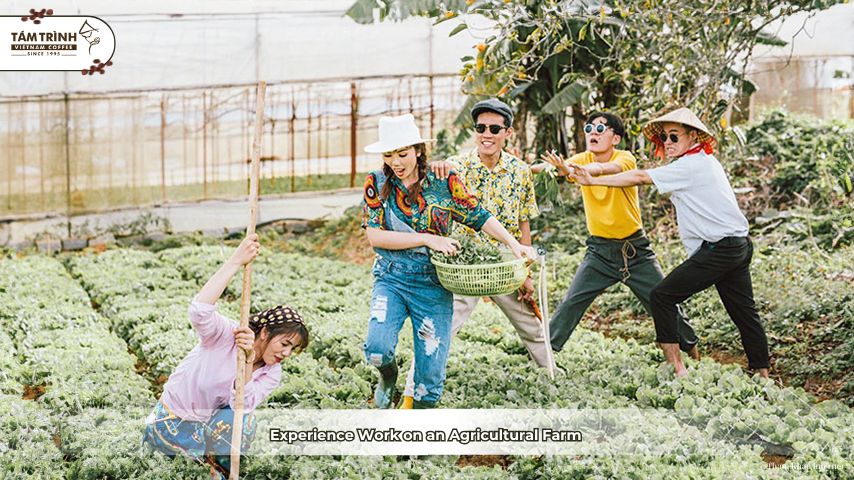 Experience Work on an Agricultural Farm