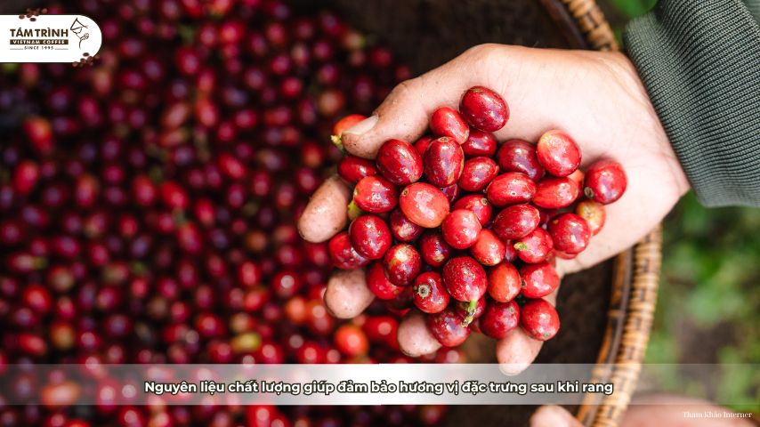Nguyên liệu chất lượng giúp đảm bảo hương vị đặc trưng sau khi rang