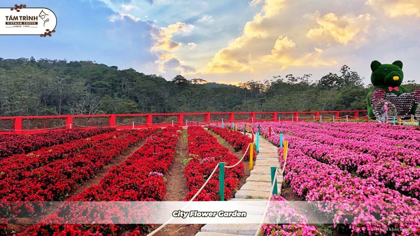 City Flower Garden