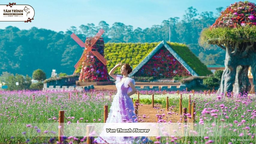Van Thanh Flower Village