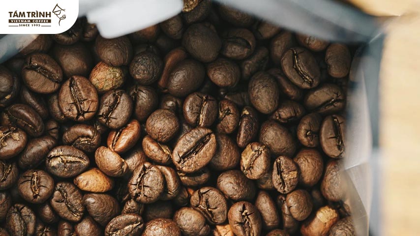 Cà phê Robusta hay còn được gọi là Coffea Canephora