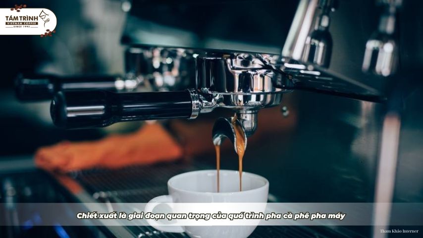 Chiết xuất là giai đoạn quan trọng của quá trình pha cà phê pha máy