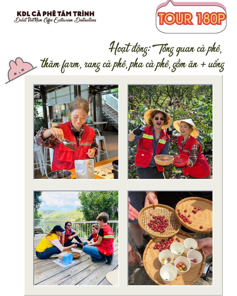 Trải nghiệm tour du lịch cà phê nếu có cơ hội đến Đà Lạt và ghé Tám Trình Coffee