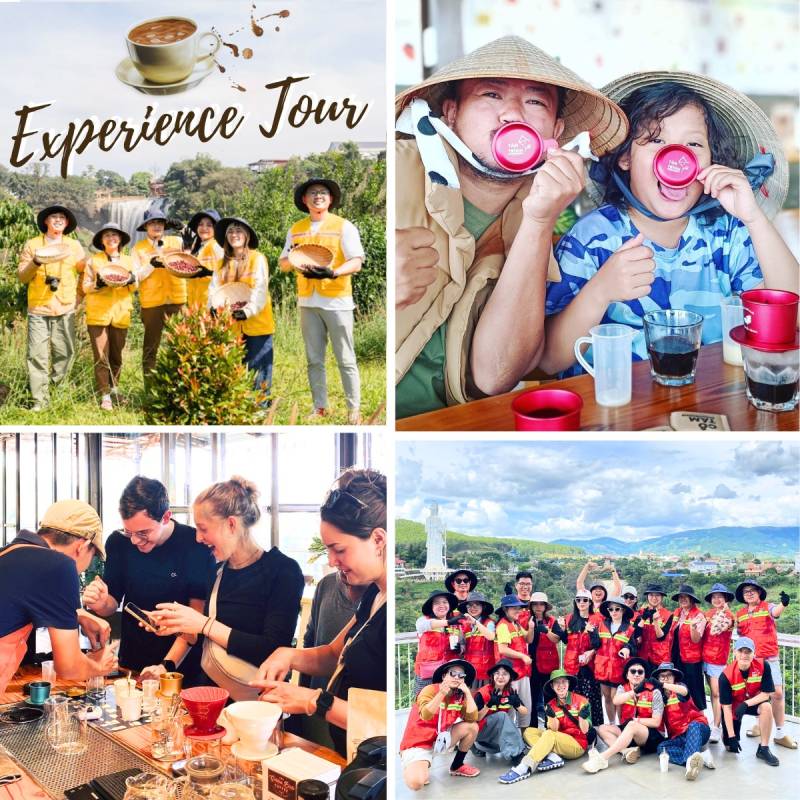 Tour trải nghiệm từ nông trại đến tách cà phê thơm ngon