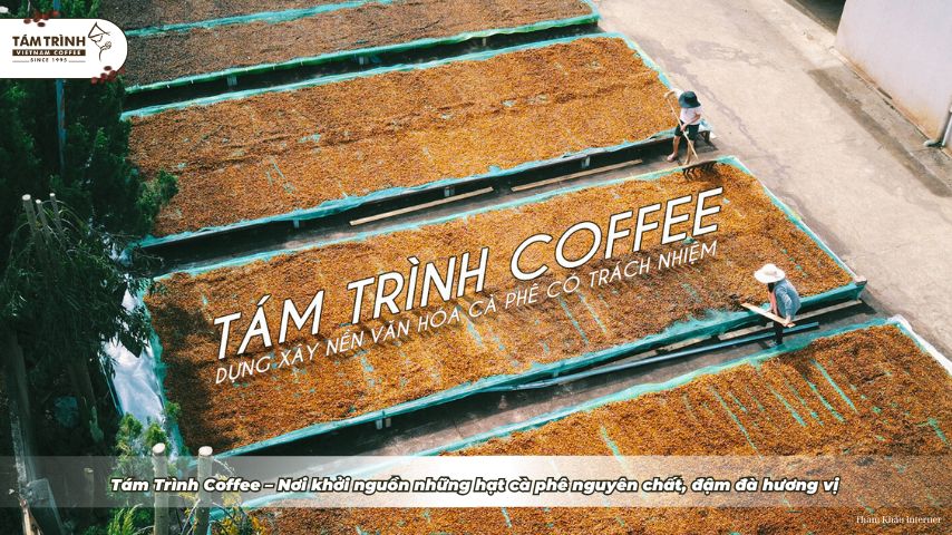 Tám Trình Coffee – Nơi khởi nguồn những hạt cà phê nguyên chất, đậm đà hương vị