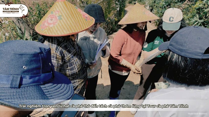 Trải nghiệm trọn vẹn từ hạt cà phê thô đến tách cà phê thơm lừng tại Tour cà phê Tám Trình&nbsp;