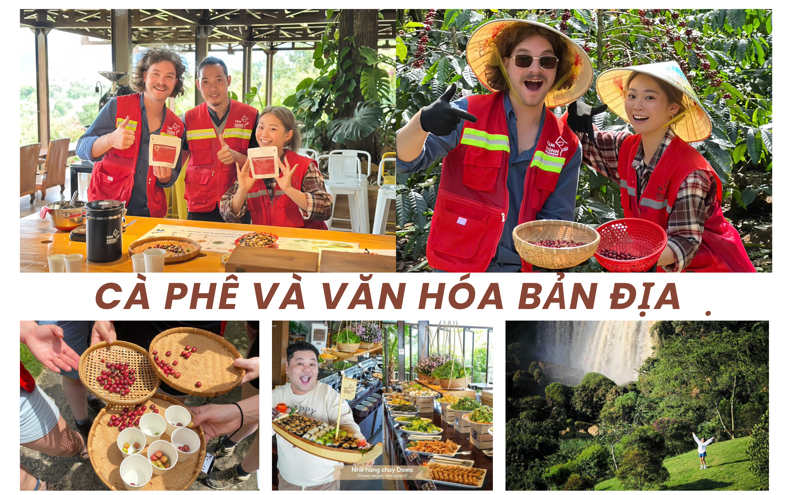 Cà phê và văn hóa bản địa - Tám Trình Coffee