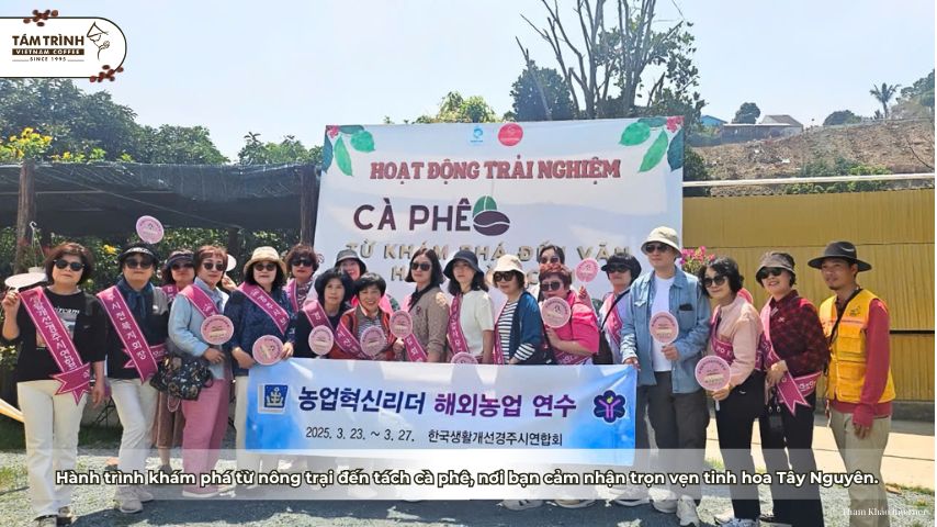 Hành trình khám phá từ nông trại đến tách cà phê, nơi bạn cảm nhận trọn vẹn tinh hoa Tây Nguyên.