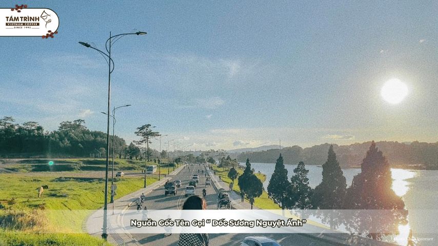 Tên gọi ấy không chỉ mang tính gợi hình mà còn là biểu tượng cho vẻ đẹp tĩnh lặng mà dốc sở hữu!