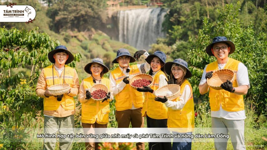 Mô hình hợp tác bền vững giữa nhà máy cà phê Tám Trình và nông dân Lâm Đồng